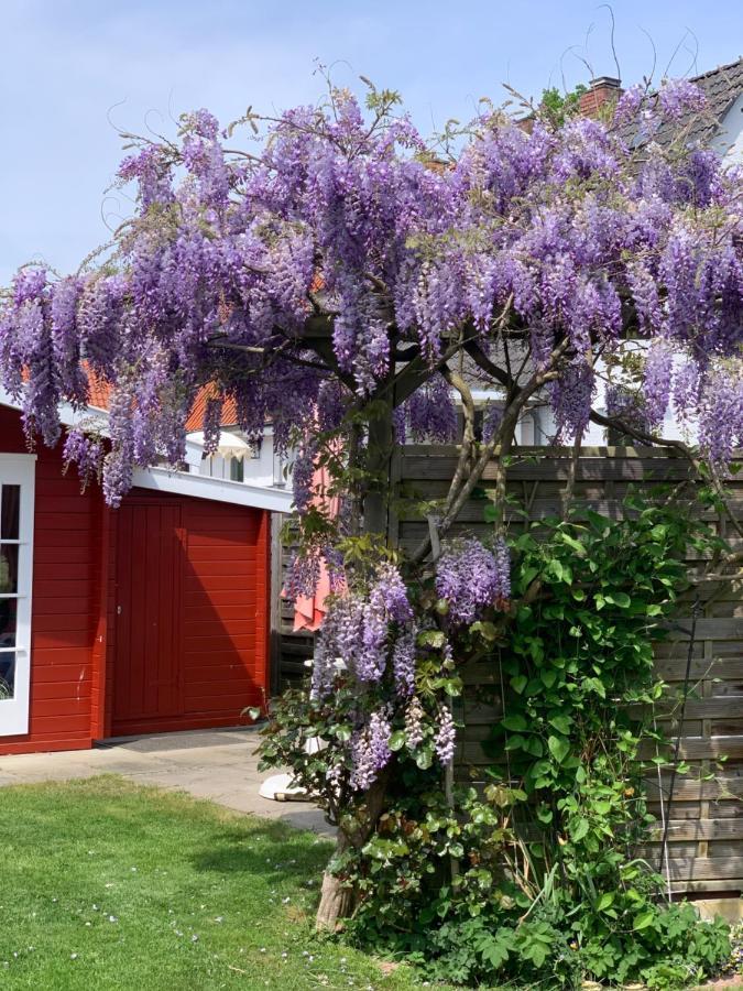 Komfort Ferienwohnung Kroemer Timmendorfer Strand Exterior foto